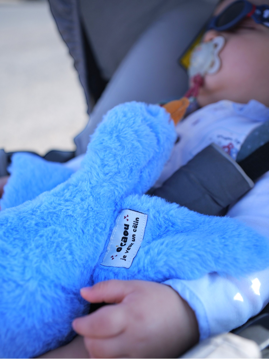 Bébé installé dans son siège, doudou bleu contre lui